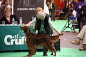 Crufts2011 406